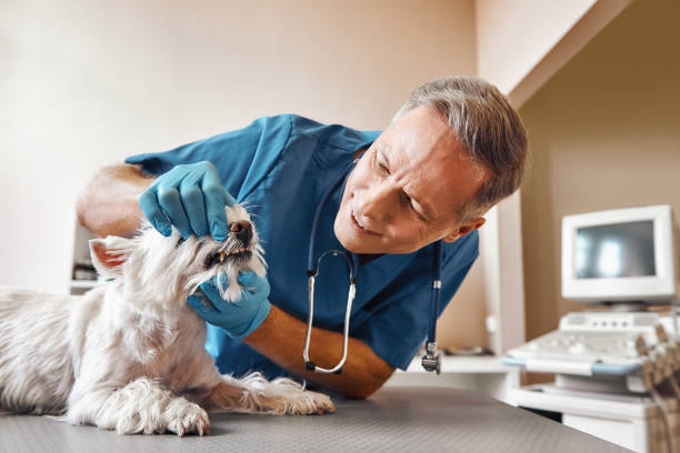 Best 24-Hour Emergency Dental Care in Agler Beach, FL